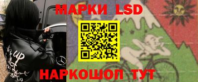 стаф Донской