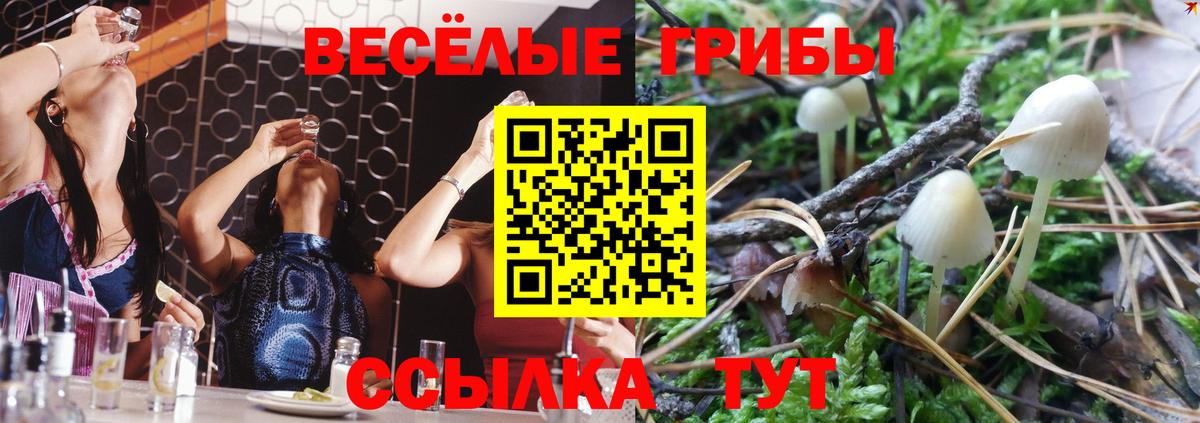 Галлюциногенные грибы мухоморы  Вход с VPN  Псилоцибиновые грибы MAGIC MUSHROOMS  Магнитогорск 